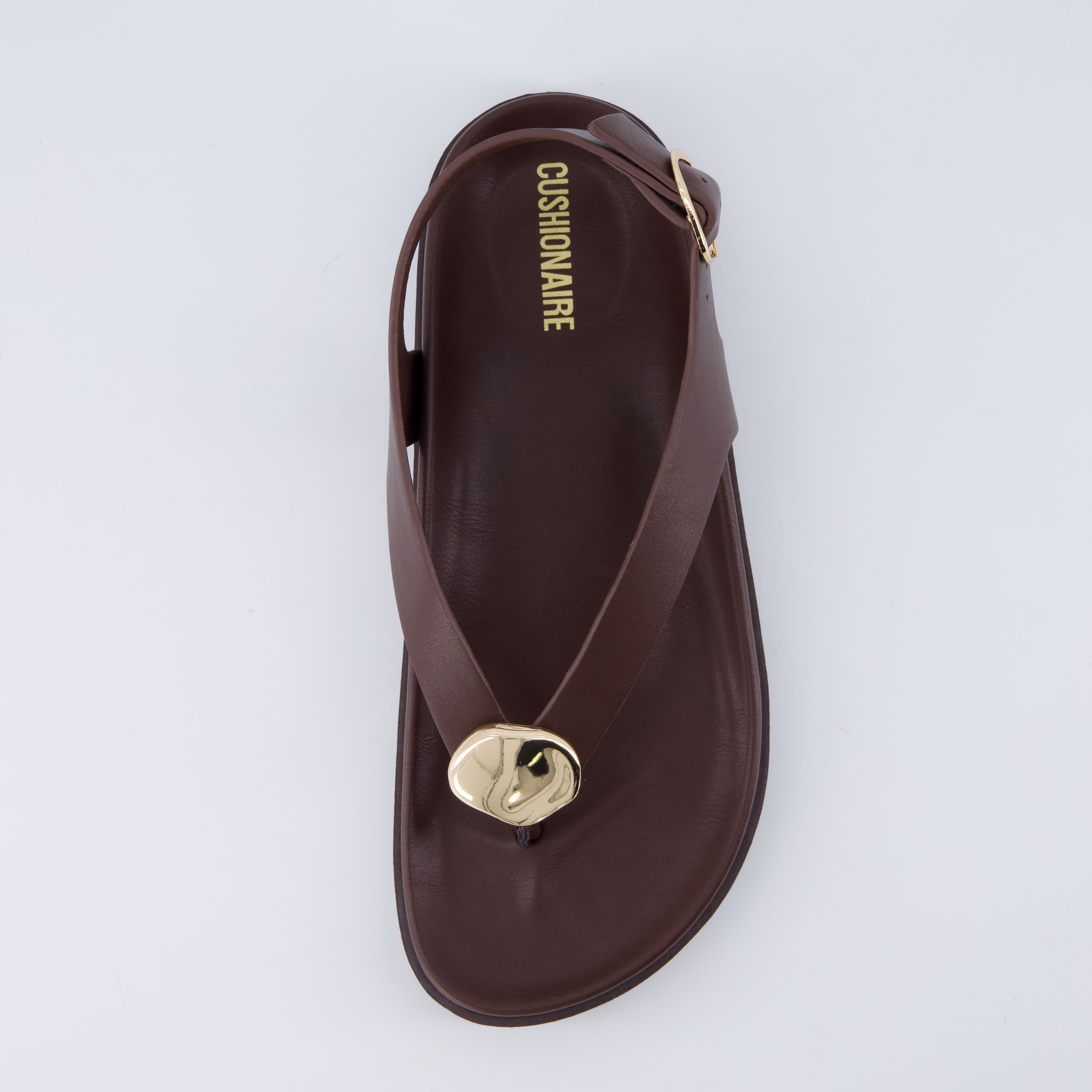 Expo Thong Sandals Chocolate