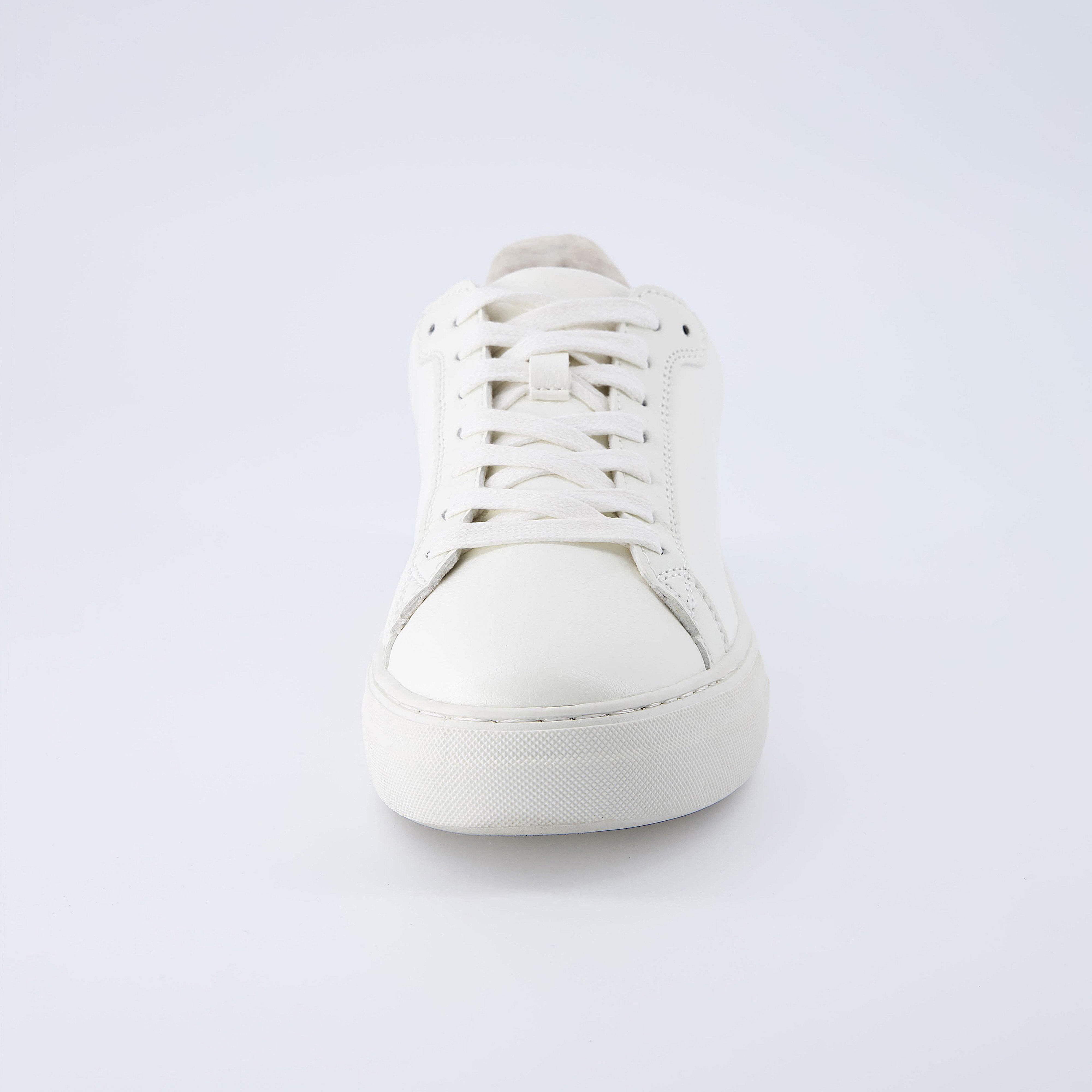 Roc Lace Up Sneaker